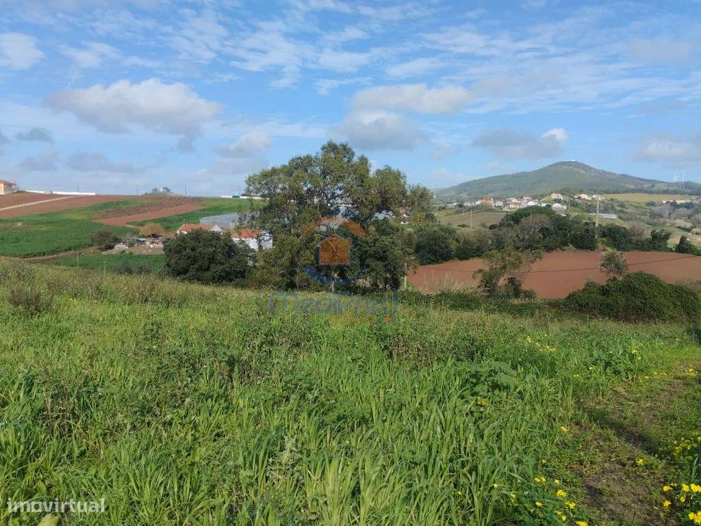 Terreno 4.000 m2 para urbanização | Tourinha, Mafra - Grande imagem: 5/6