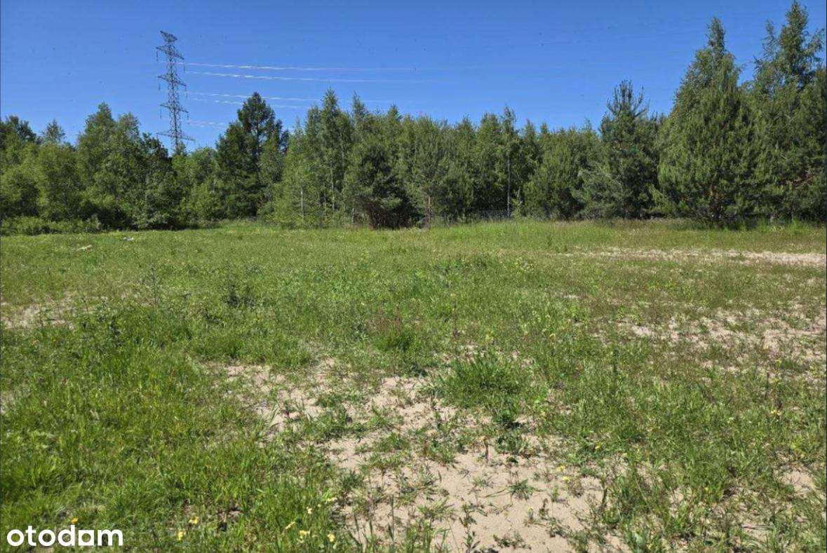 Piękna dzialka Przyjaźń - Pełny obrazek: 1/3