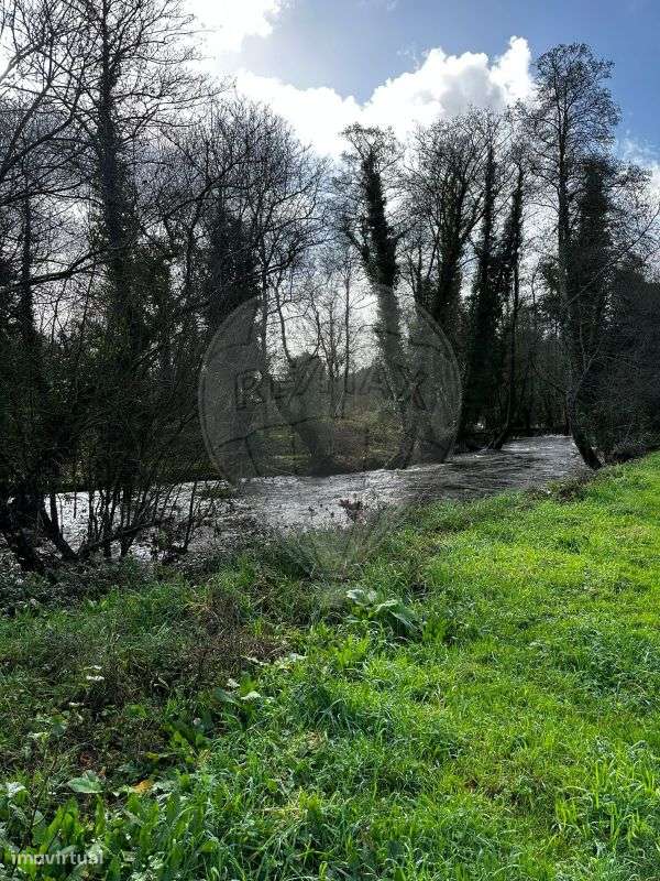 Terreno  para venda - Grande imagem: 5/6