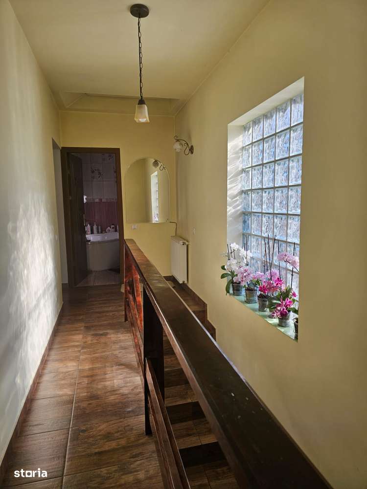 Vila de vanzare Andronache-7