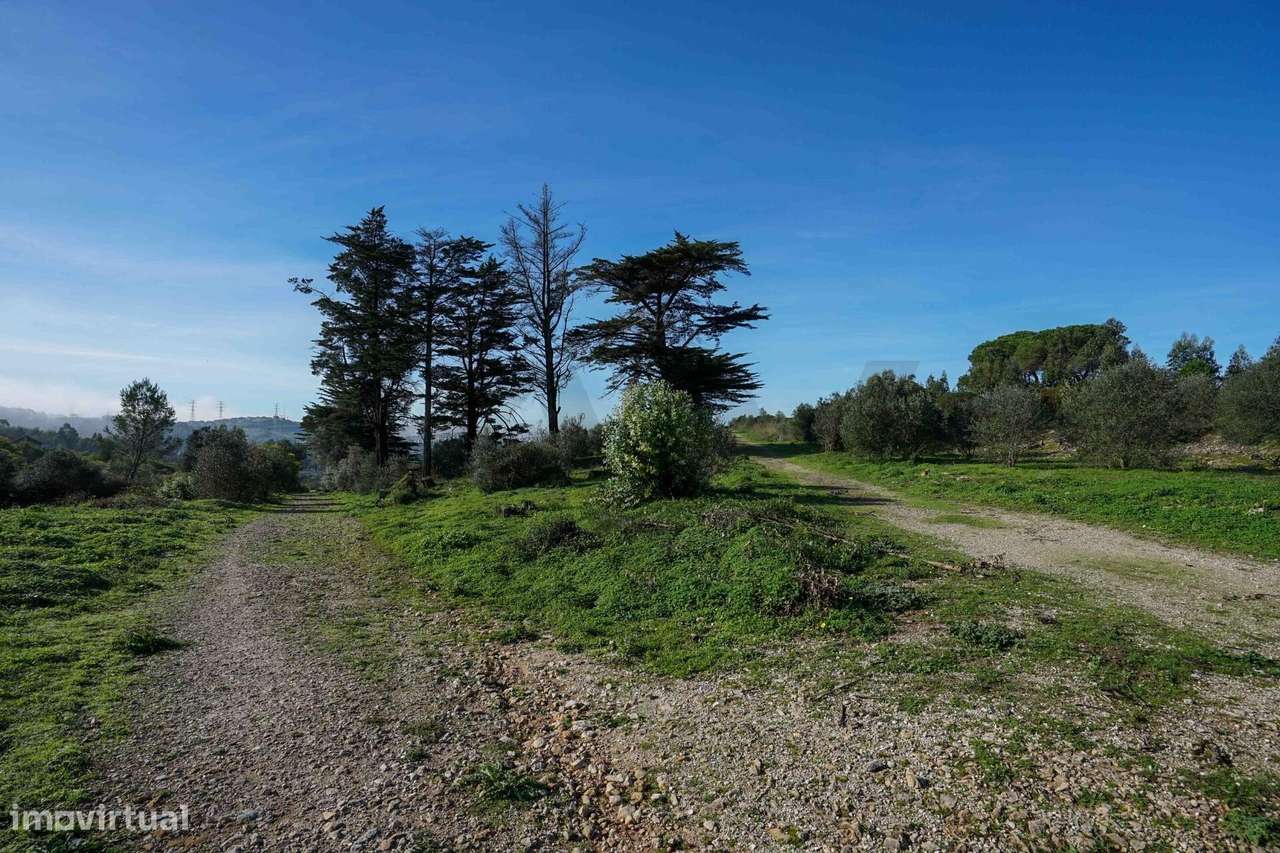 Terreno Urbano 6000 m2 em Belas – Excelente Oportunidade de Investimen - Grande imagem: 4/15