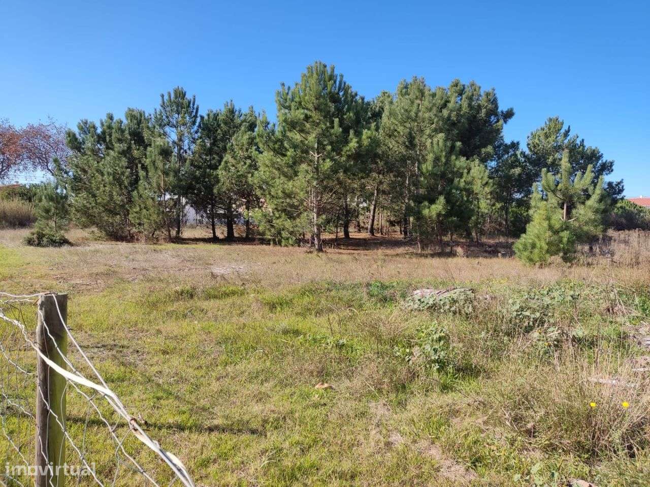 Terreno com viabilidade construção _ 905 Caldas da Rainha-13