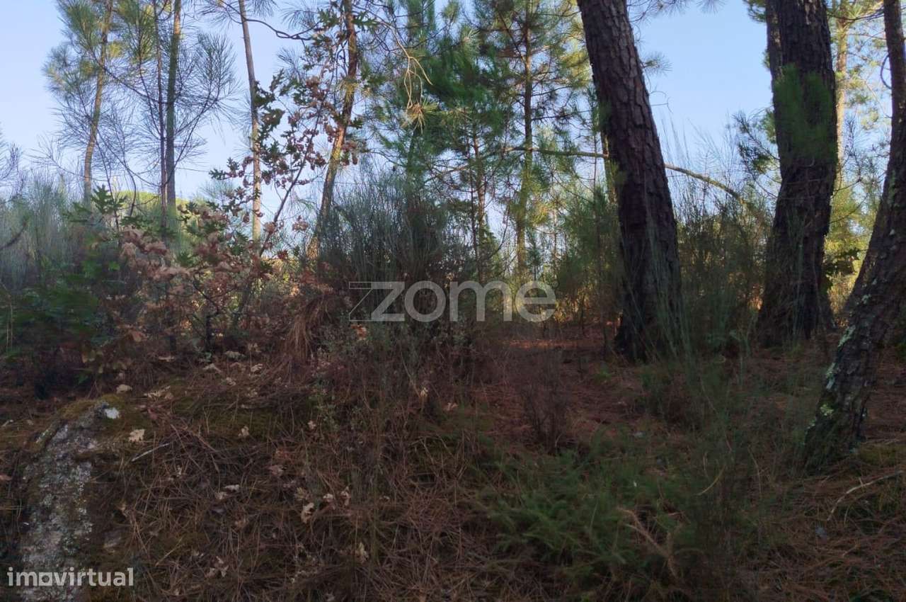 Terreno, 1 958 m², Santiago de Cassurrães e Póvoa de Cervães - Grande imagem: 3/30