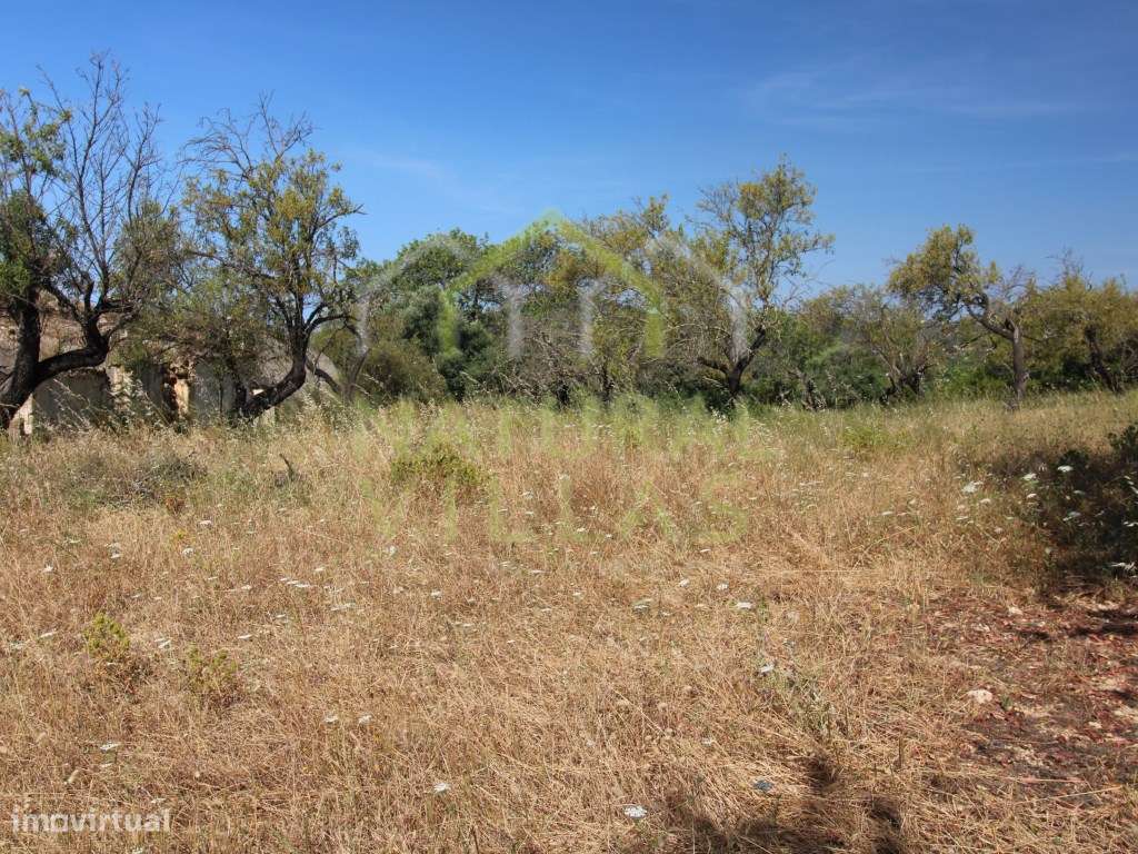 Ruína com terreno e Parcial Vista Mar, Estoi - Grande imagem: 4/6
