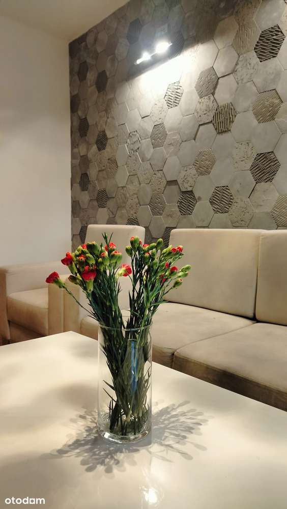 Sprzedam dom Sosnowiec blisko centrum - Pełny obrazek: 2/20