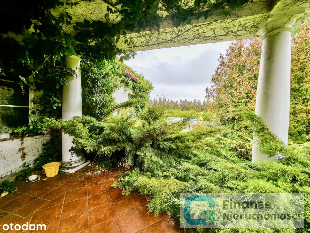 Siedlisko z budynkami – Grabów - 21 200 m²-15