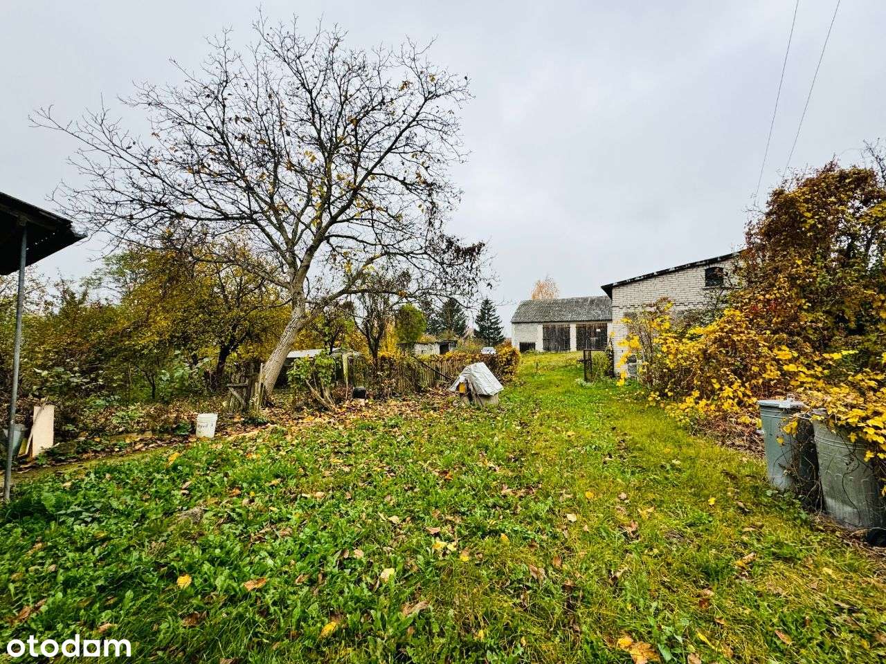 Gospodarstwo w miejscowości Dąbek - Pełny obrazek: 5/9