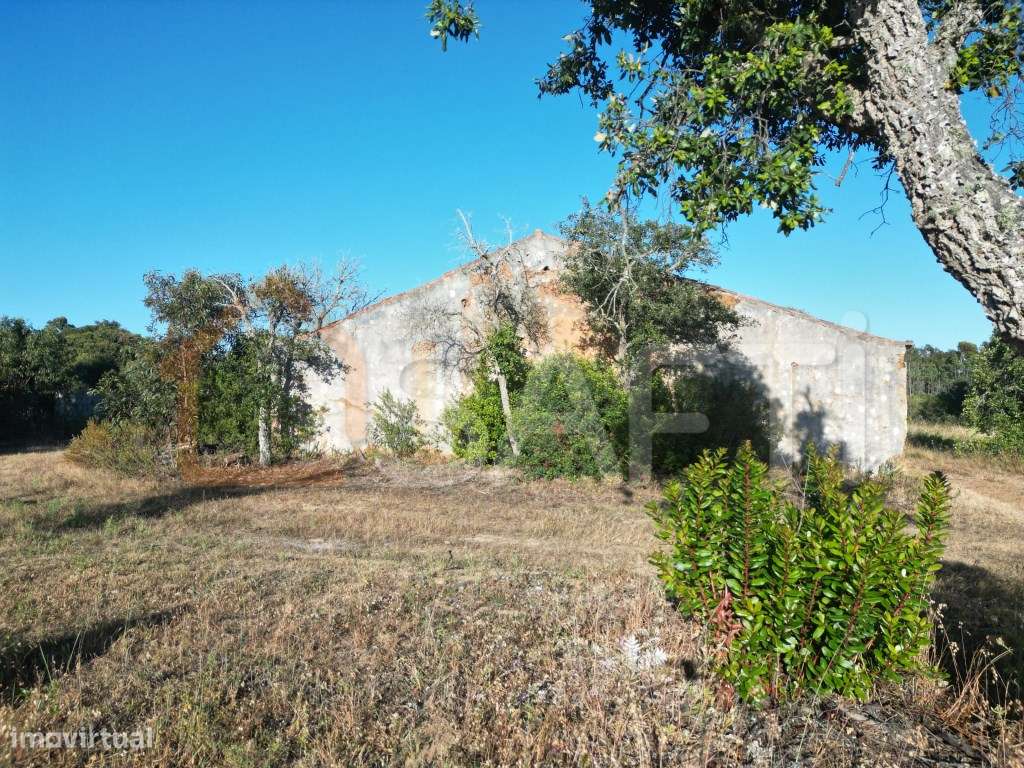 Herdade com 276 ha, enorme potencial para investidores! - Grande imagem: 5/26