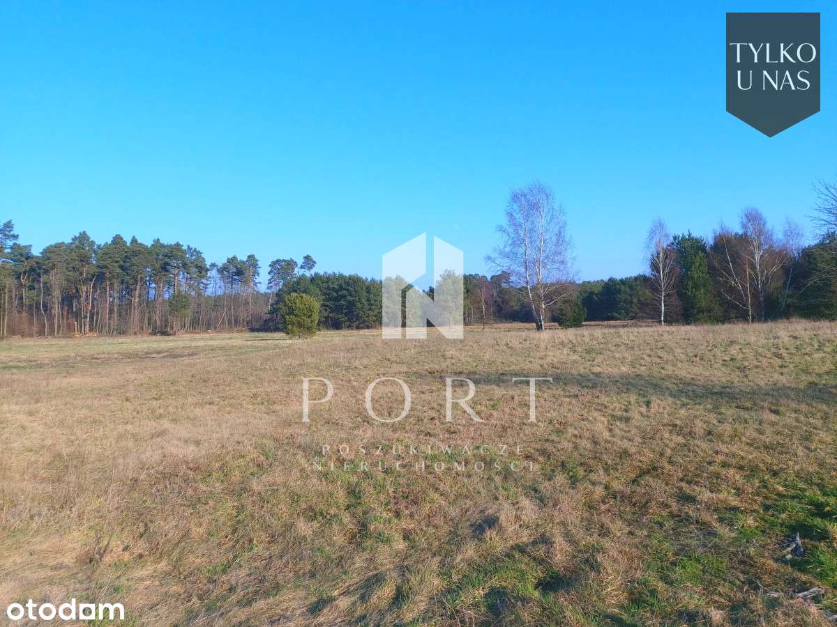 Działka w Słuchowie - 5 km do Białogóry. - Pełny obrazek: 4/5