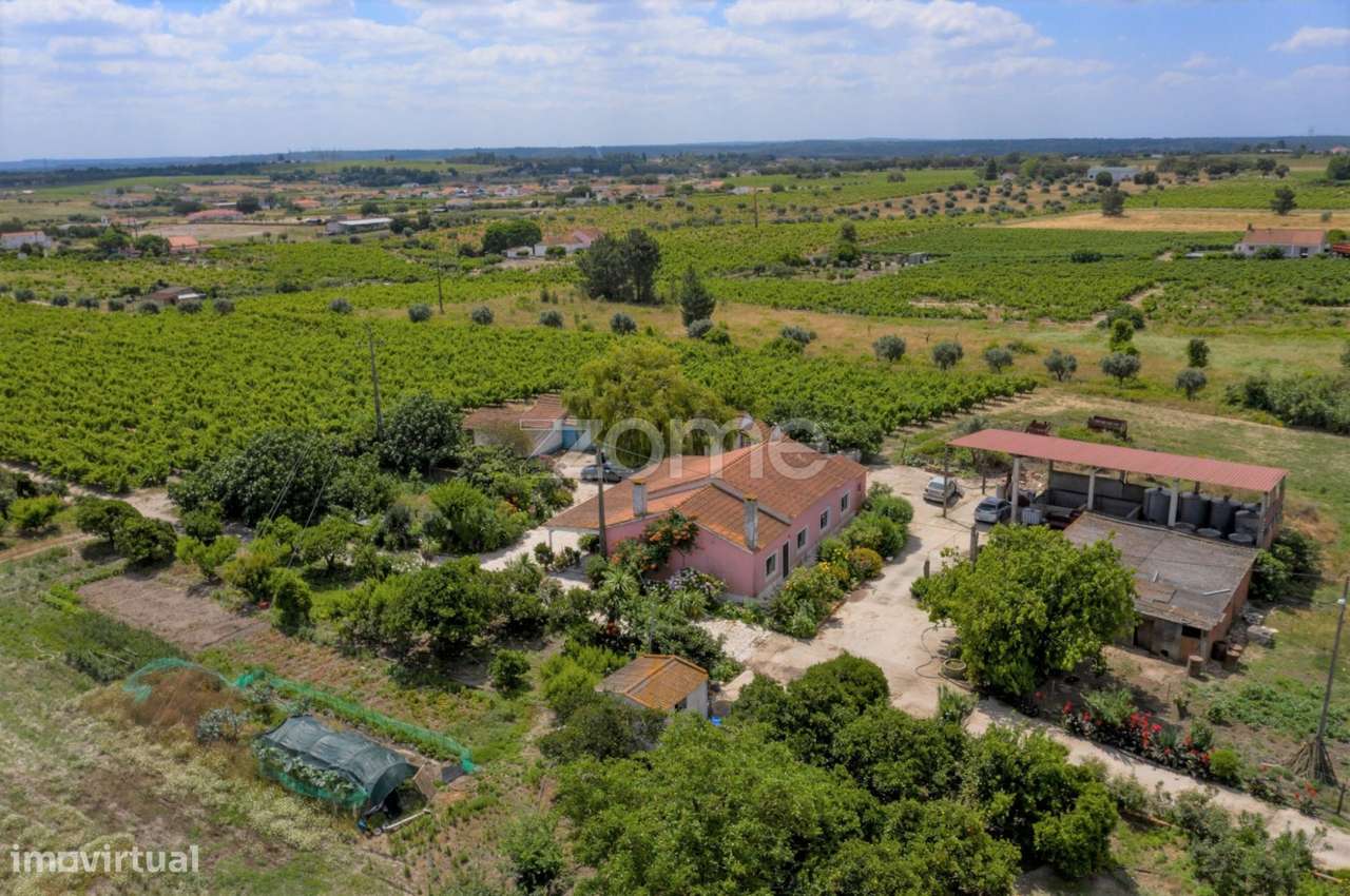 Herdade D. Alda - vinhas prestigiadas e premiadas! - Grande imagem: 2/23