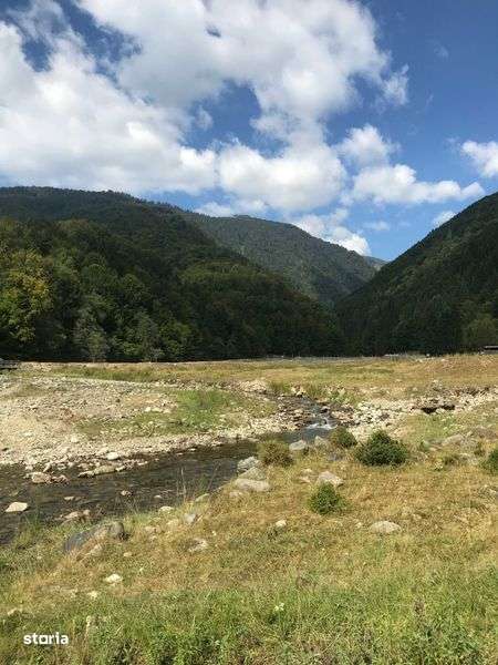 Teren Crasna Viseului, zona Paltin 38.186 mp - Imagine principală: 5/6