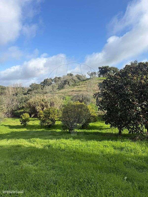 Terreno  para venda - Grande imagem: 5/9