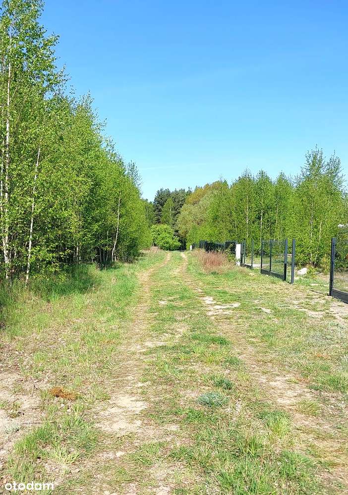 Jania Góra 1220m2 prąd, woda - Pełny obrazek: 5/16