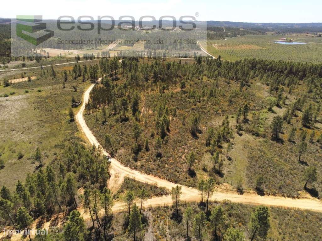 Terreno rústico - Risca do Cabo - Grande imagem: 3/12