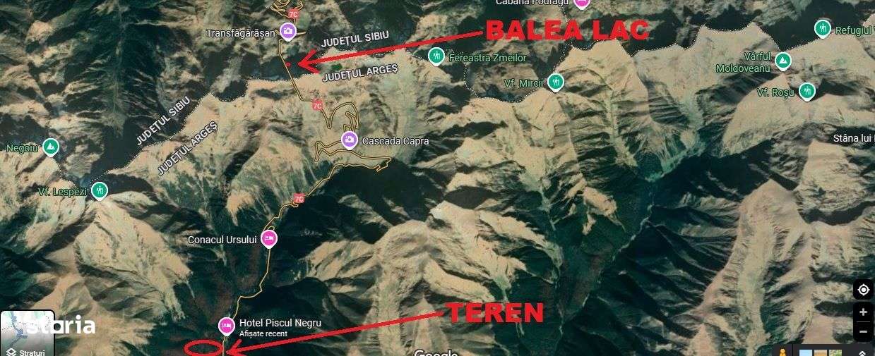 TEREN EXTRAVILAN PADURE PISCUL NEGRU ARGES-6