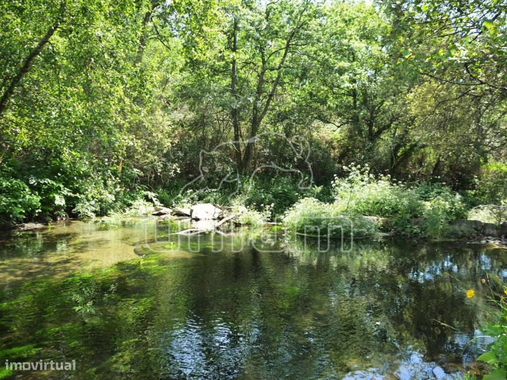 Terreno em Anais - Grande imagem: 5/8