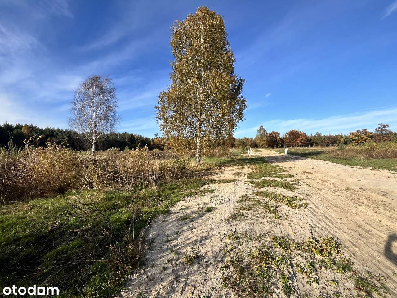 Olszyna - "LEŚNY ZAKĄTEK"-10