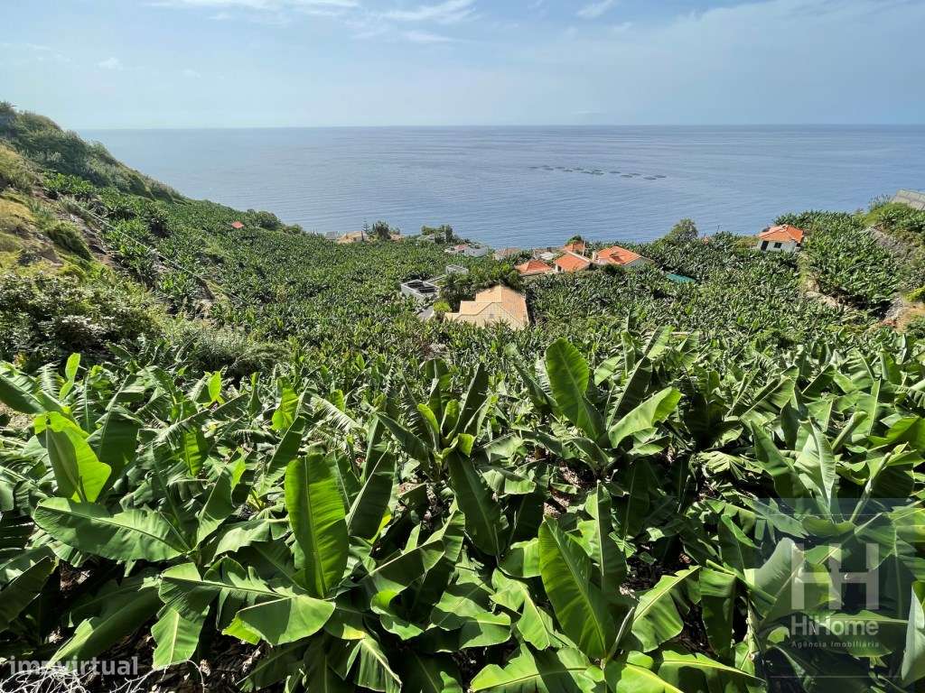 Terreno com 2.295m2 na Calheta, Madeira - Grande imagem: 5/15