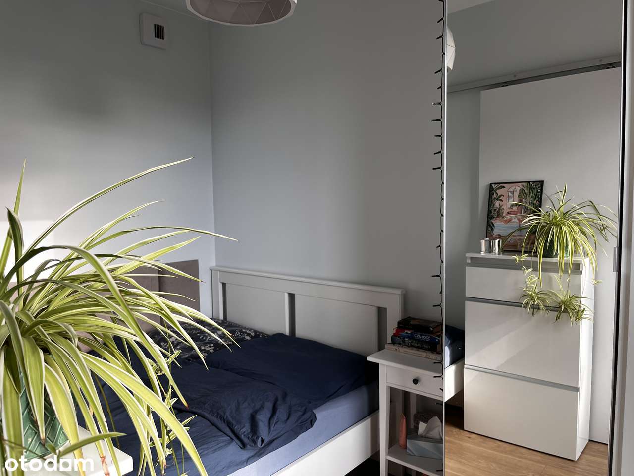 Wynajem 34m Gdańsk Śródmieście  długoterminowy - Pełny obrazek: 5/8