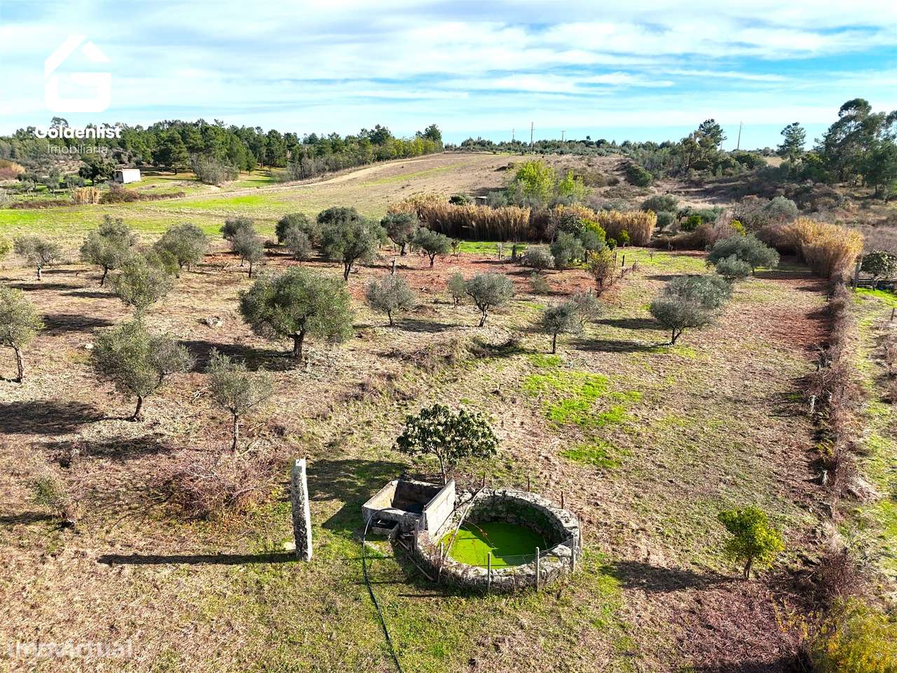 Quinta T1 Venda em Escalos de Cima e Lousa,Castelo Branco - Grande imagem: 5/55