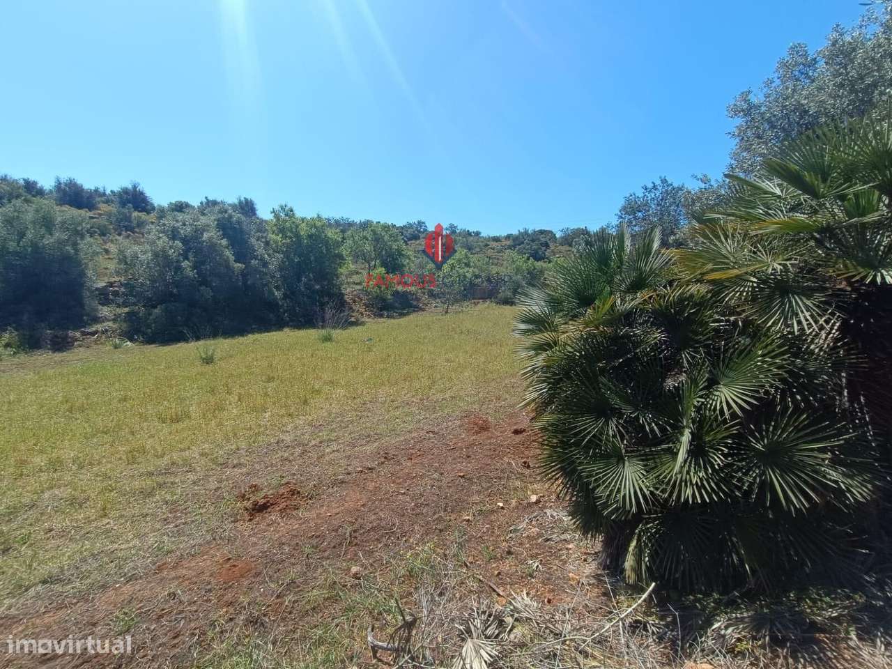 Quinta com 9 Hectares , junto ao rio Arade excelente investimento-14