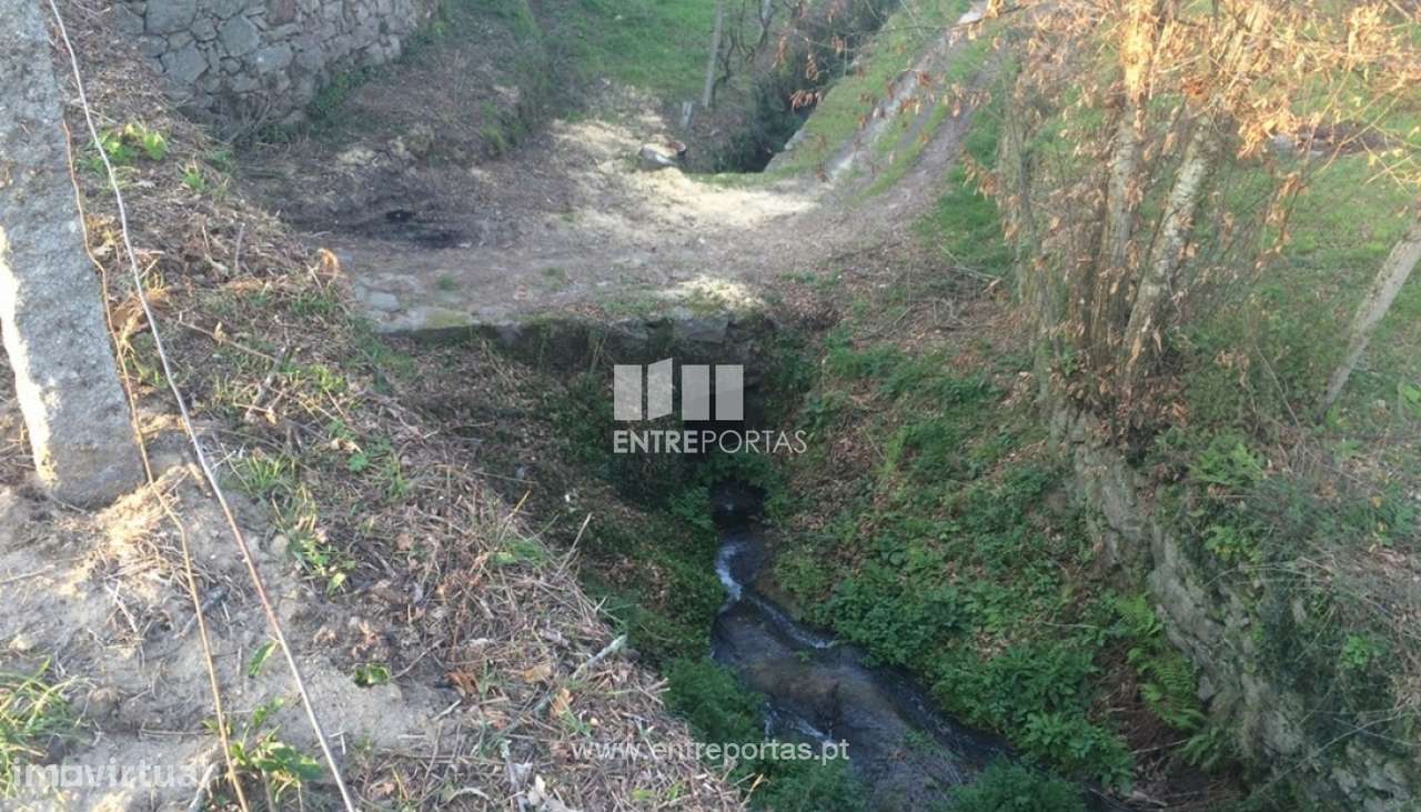 Venda Terreno c/ Moradia para Restauro, Tarouquela, Cinfães - Grande imagem: 3/36
