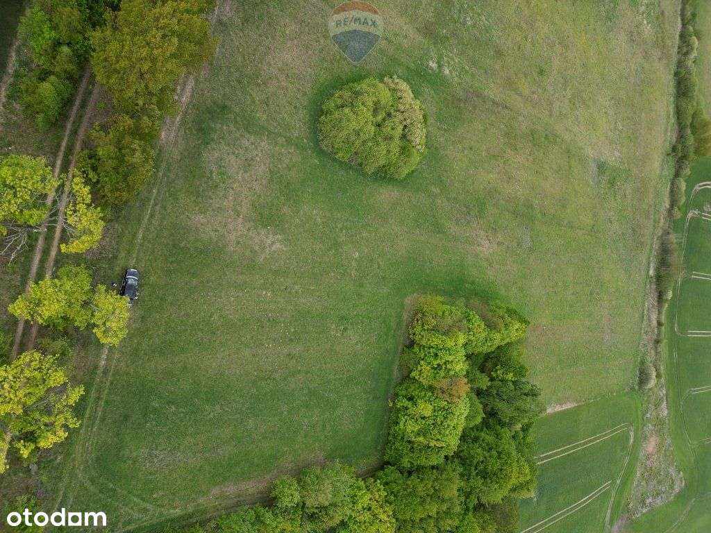 Ziemia rolna na sprzedaż – Dębnik k. Reszla - Pełny obrazek: 4/10