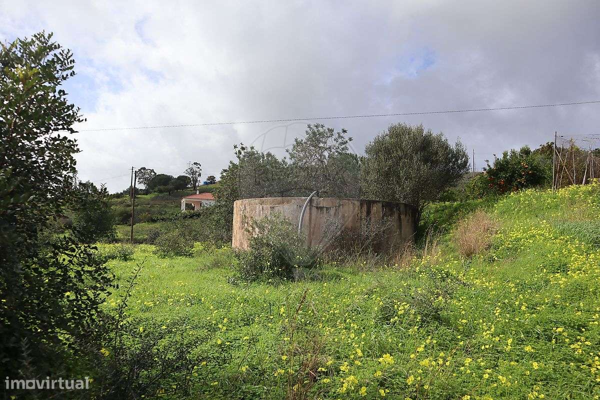 Terreno  para venda - Grande imagem: 5/8