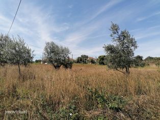 TERRENO COM 3190 M2 (TEM FURO PRÓPRIO COM MUITA ÁGUA) - Grande imagem: 4/15