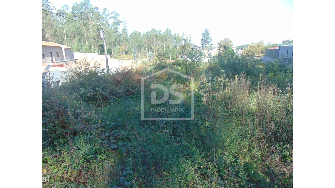 Terreno  Venda em Argoncilhe,Santa Maria da Feira - Grande imagem: 3/19