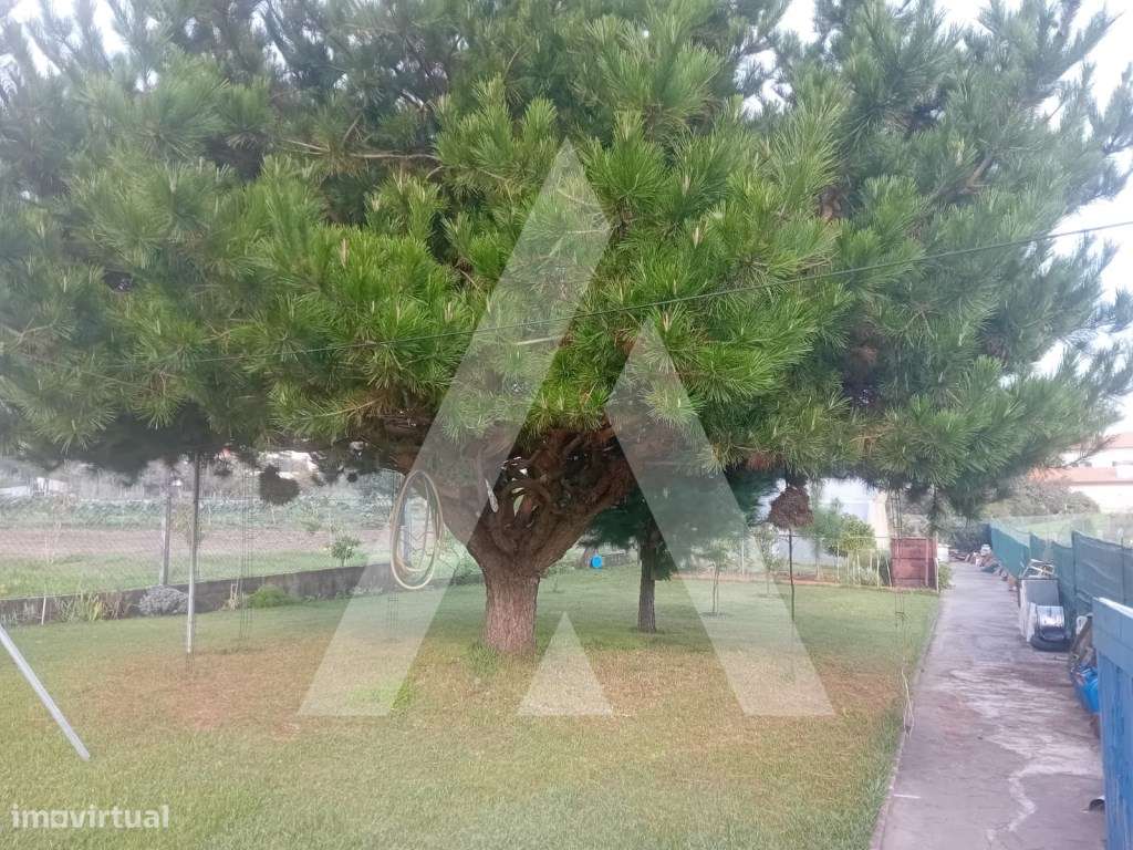 Moradia T4 em Oliveira do Bairro-34