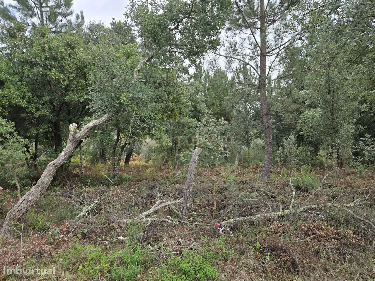 Terreno, 140 m², Castelo - Grande imagem: 4/8