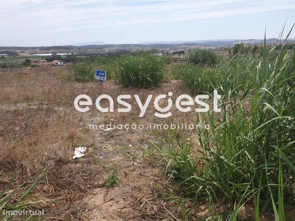 Terreno urbano para construção localizado junto às praias - Grande imagem: 4/8