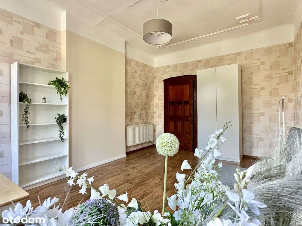 Przestronny pokój z widokiem na park - Nowowiejska - Pełny obrazek: 2/7