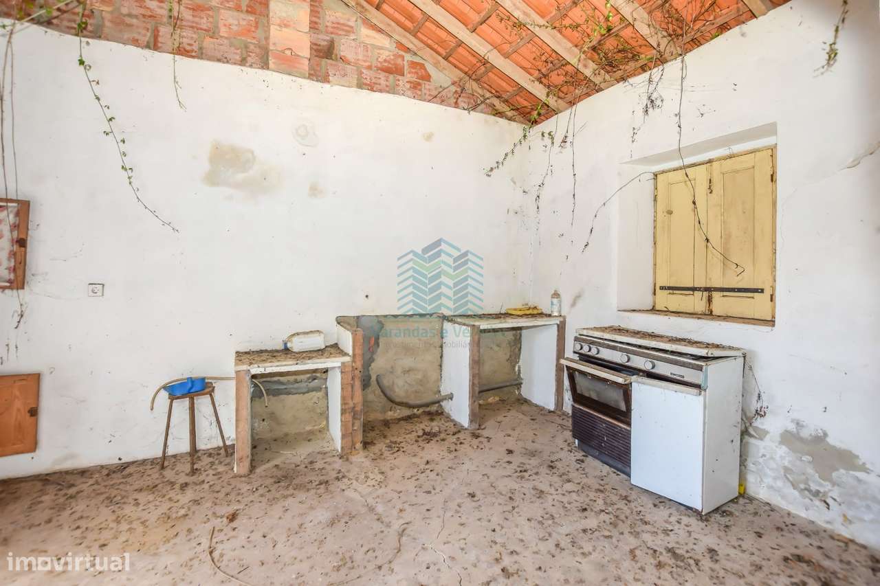 Quinta para remodelar - Torres Novas-6
