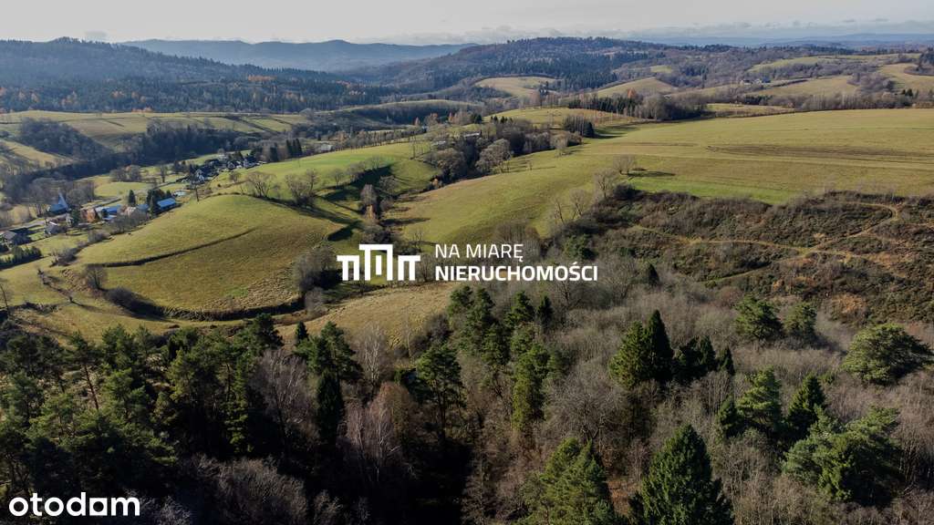 Działka 3,2 ha | Cisza, natura, Bieszczady - Pełny obrazek: 4/8