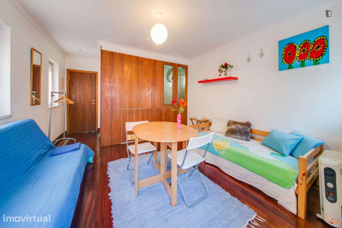 Estúdio - localizado em Santa Apolónia Lisbon - Grande imagem: 3/9