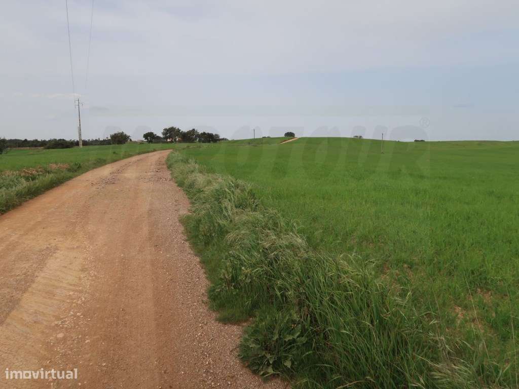 Quinta em excelente localização-30