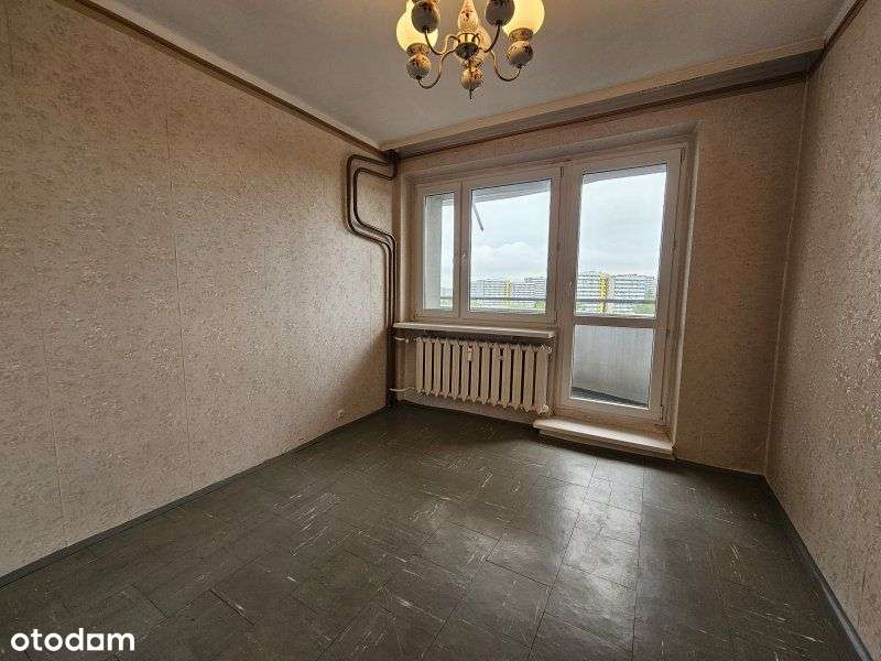 3 pokoje Os. Tysiąclecia, Kukurydza-5