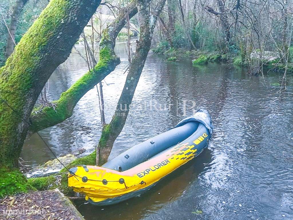 Quinta Rural 8.000 m2 - 2 Casas Habitáveis - confina com Ribeira-26
