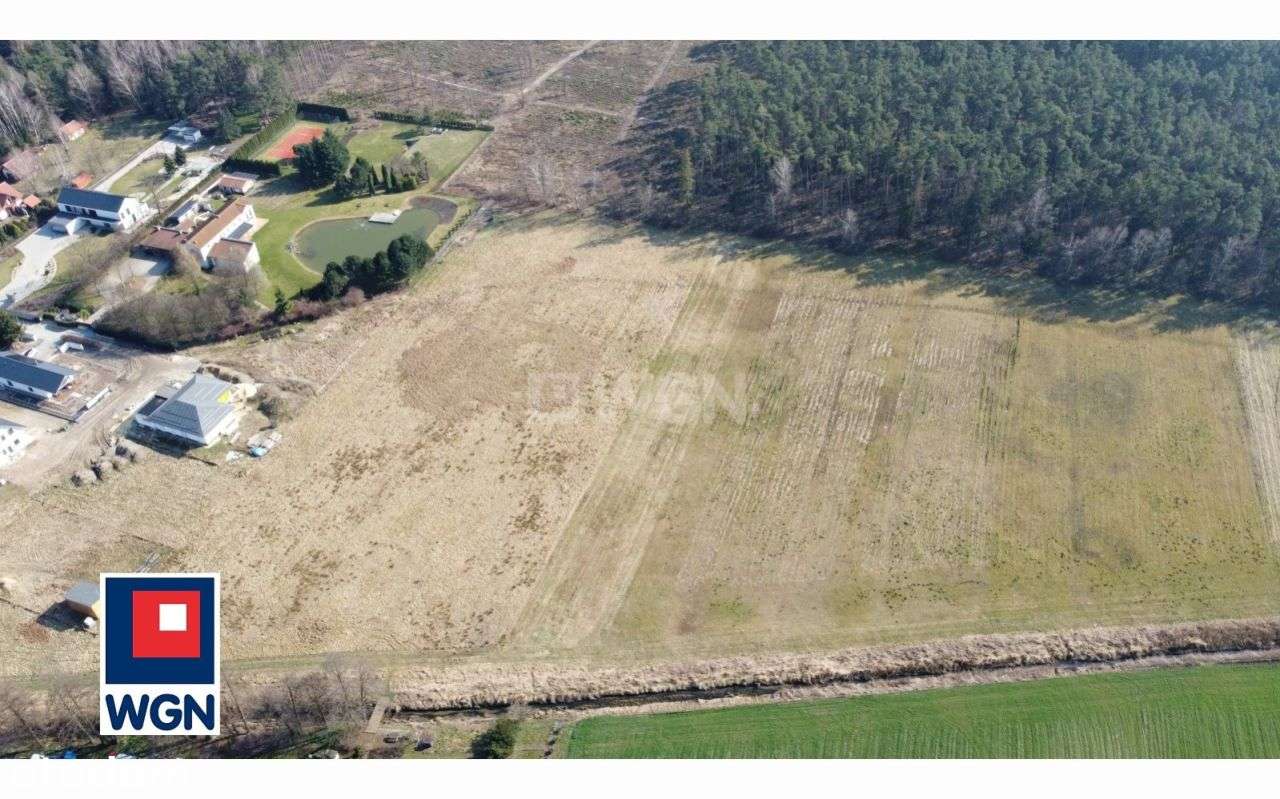 Działki pod lasem w Topoli Osiedle - Pełny obrazek: 5/8