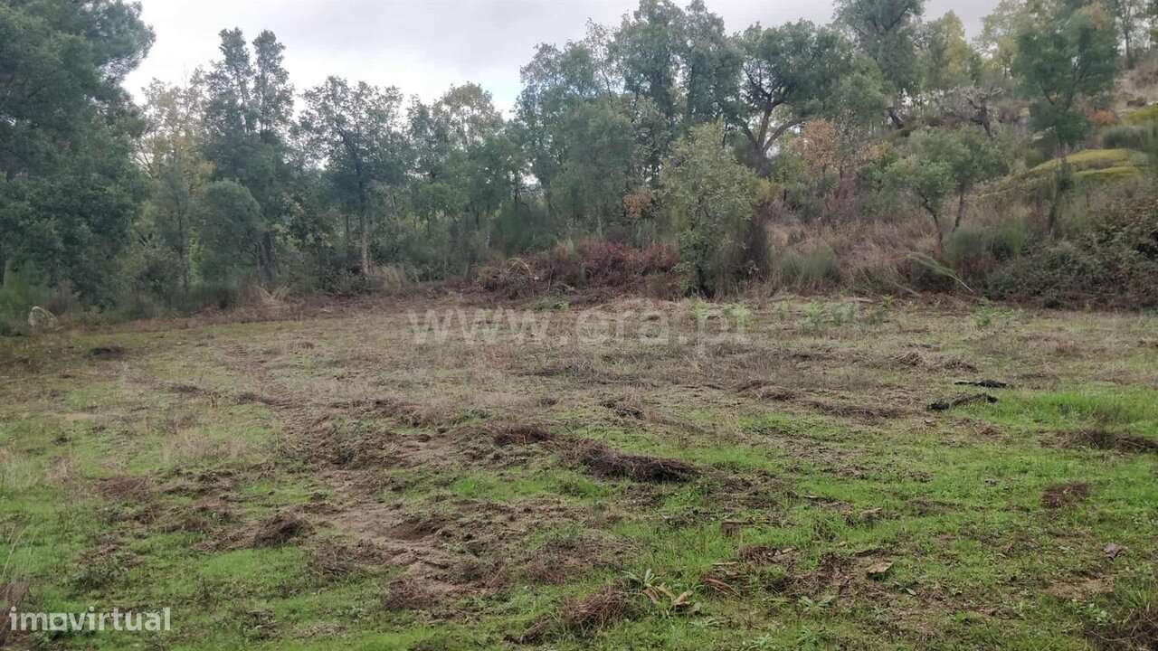Terreno Rústico / Fundão, Póvoa de Atalaia e Atalaia do Campo - Grande imagem: 2/20