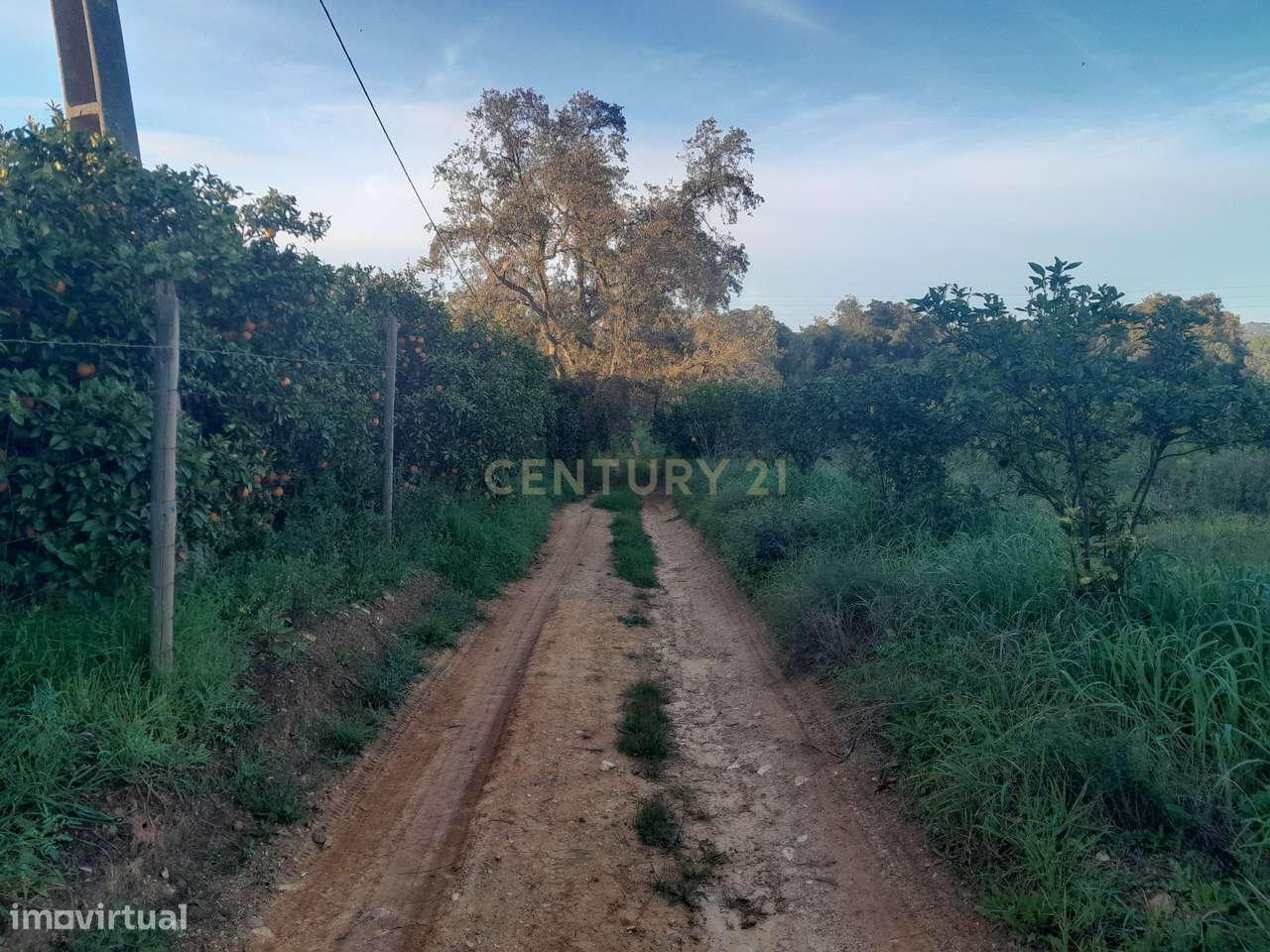 Terreno Zona Calma - Grande imagem: 5/21