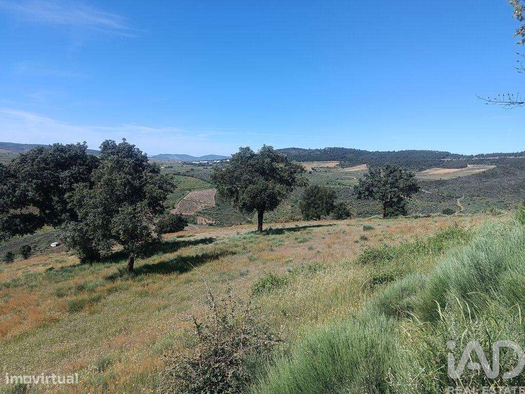 Terreno em Freixo de Espada à Cinta e Mazouco de 49572,00 m2 - Grande imagem: 4/27