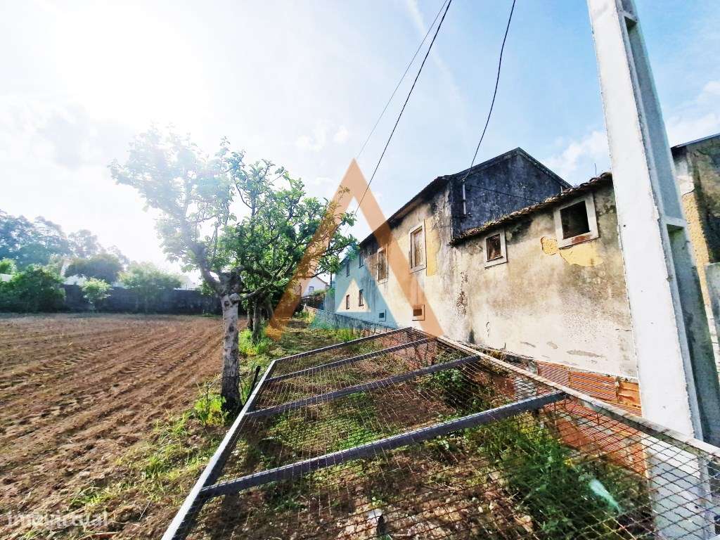 Maravilhosa quinta com casa e terreno-44