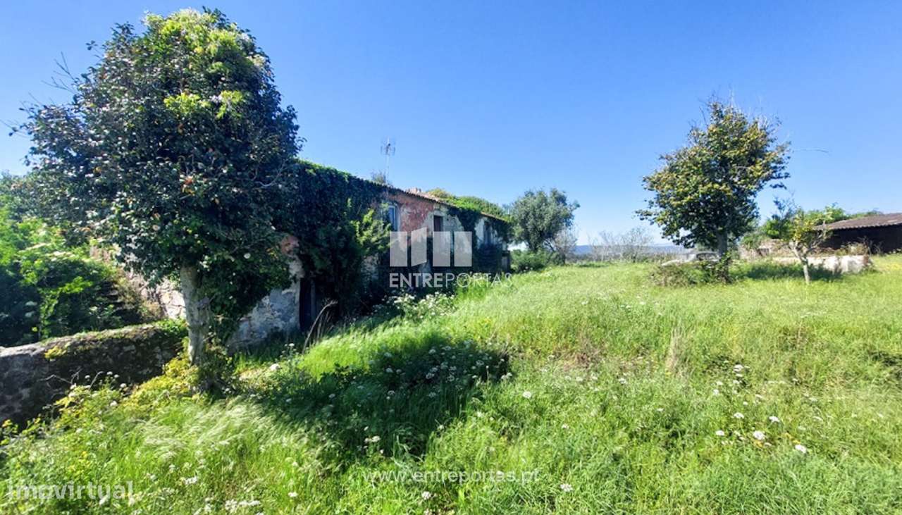 Venda de quintinha c/ moradia em pedra p/ recuperar, Fragoso, Barcelos - Grande imagem: 5/30