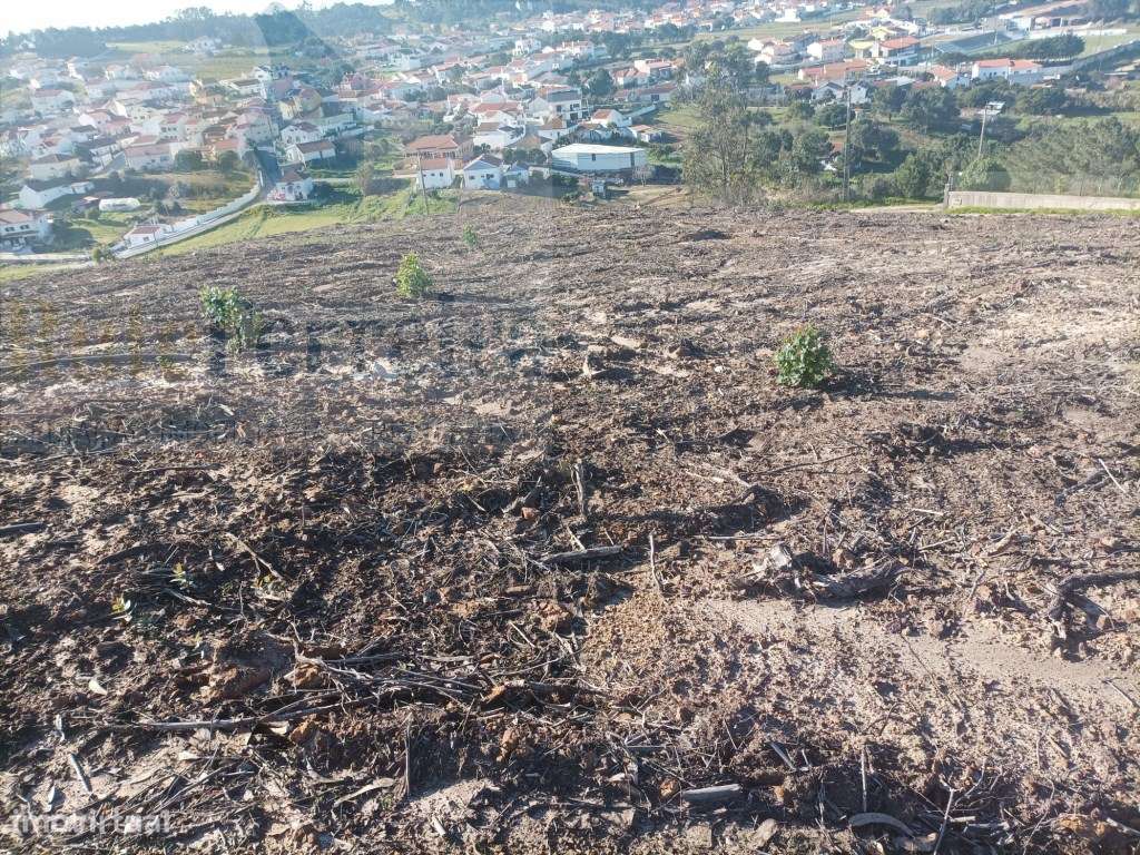 Terreno com PIP Aprovado para a construção de 5 moradias!! - Grande imagem: 5/11