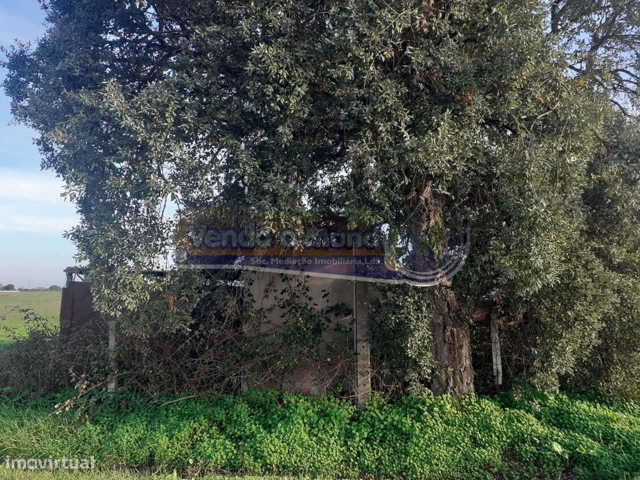 Terreno em Benavente (B501) - Grande imagem: 5/6