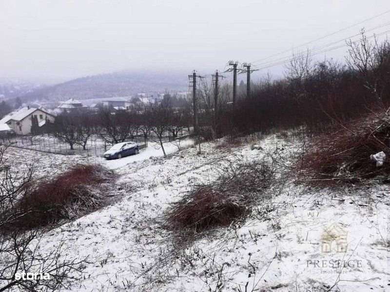 Teren intravilan de vanzare in zona Gheorghe Doja-Oradea - Imagine principală: 2/5