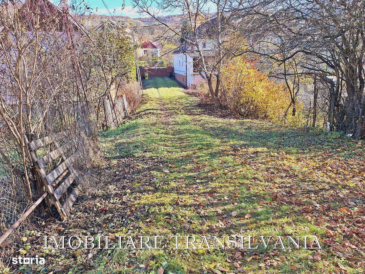 Teren intravilan 4200mp si casa - Valea Budacului-14